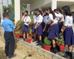 Learning the basics of gardening
