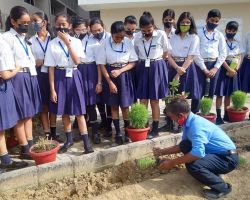 The school gardener demonstrating how to plant saplings