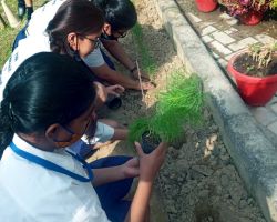 Club members planting saplings