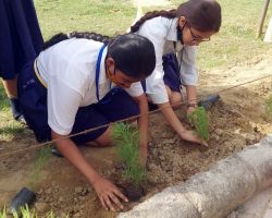 Helping the gardeners as responsible & conscious students