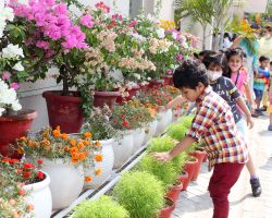 Observing the colours of nature