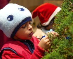Ornaments of joy, hung by hands full of wonder.